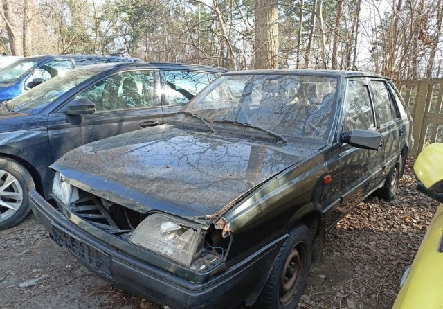 polonez